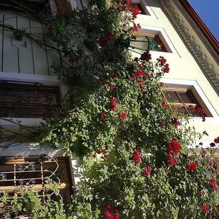 House Of Roses 民宿
