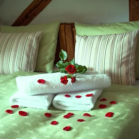 House Of Roses